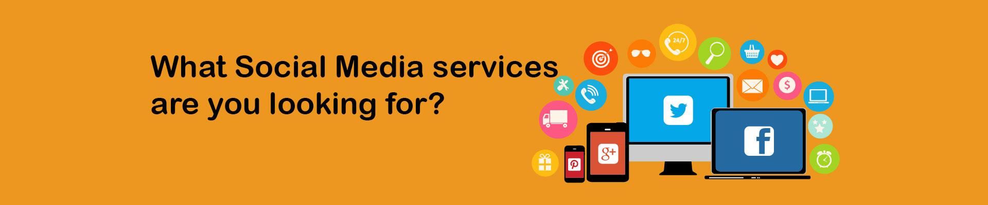 Do you need Social Media Services?
